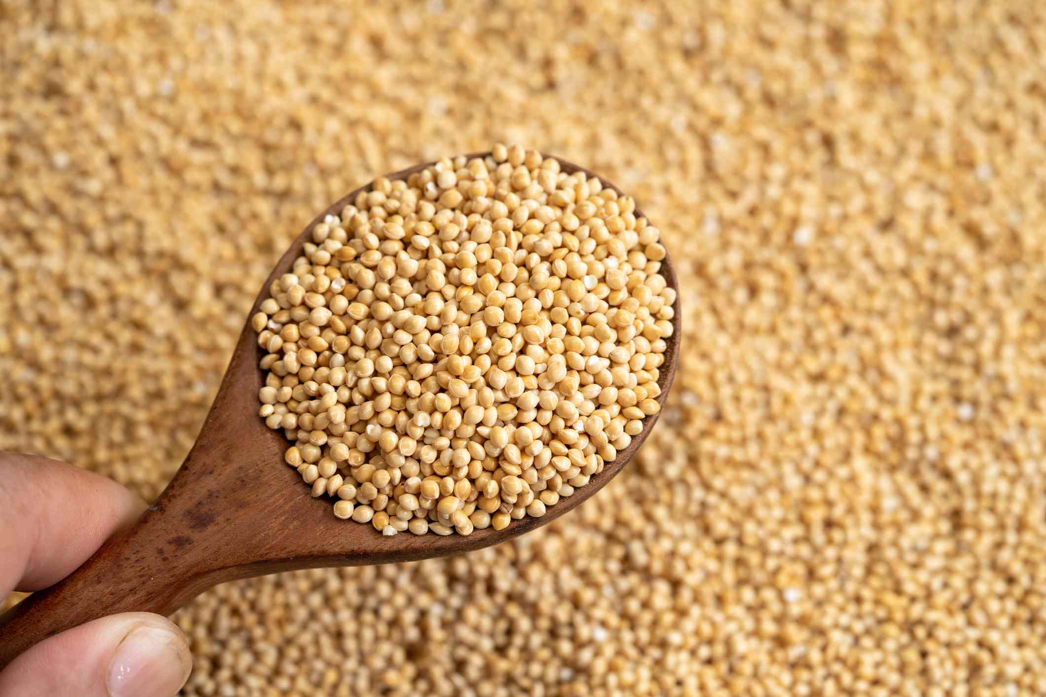 Real Amaranth